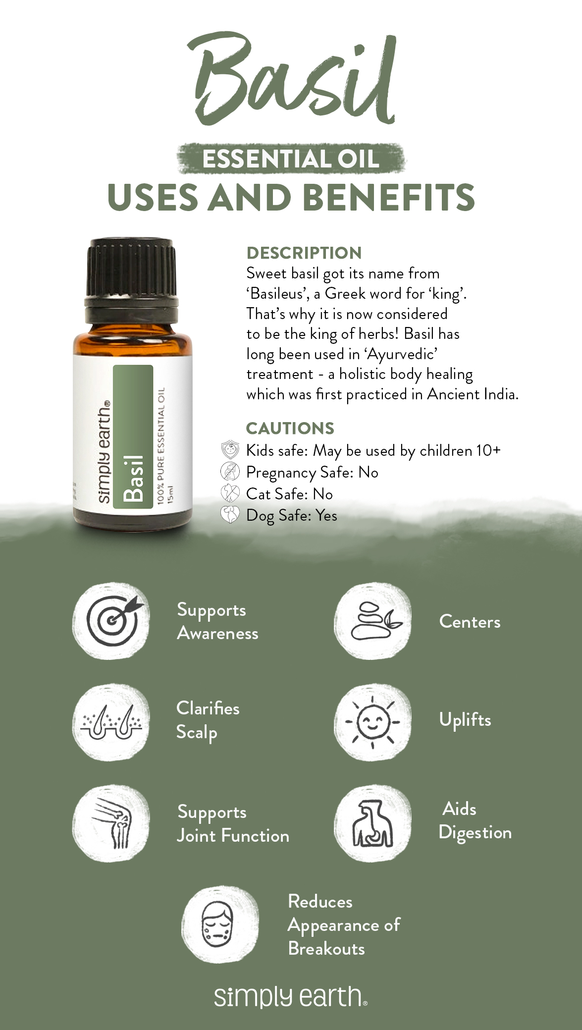 Sweet Basil Essential Oil Benefits, Uses, & Recipes Simply Earth Blog