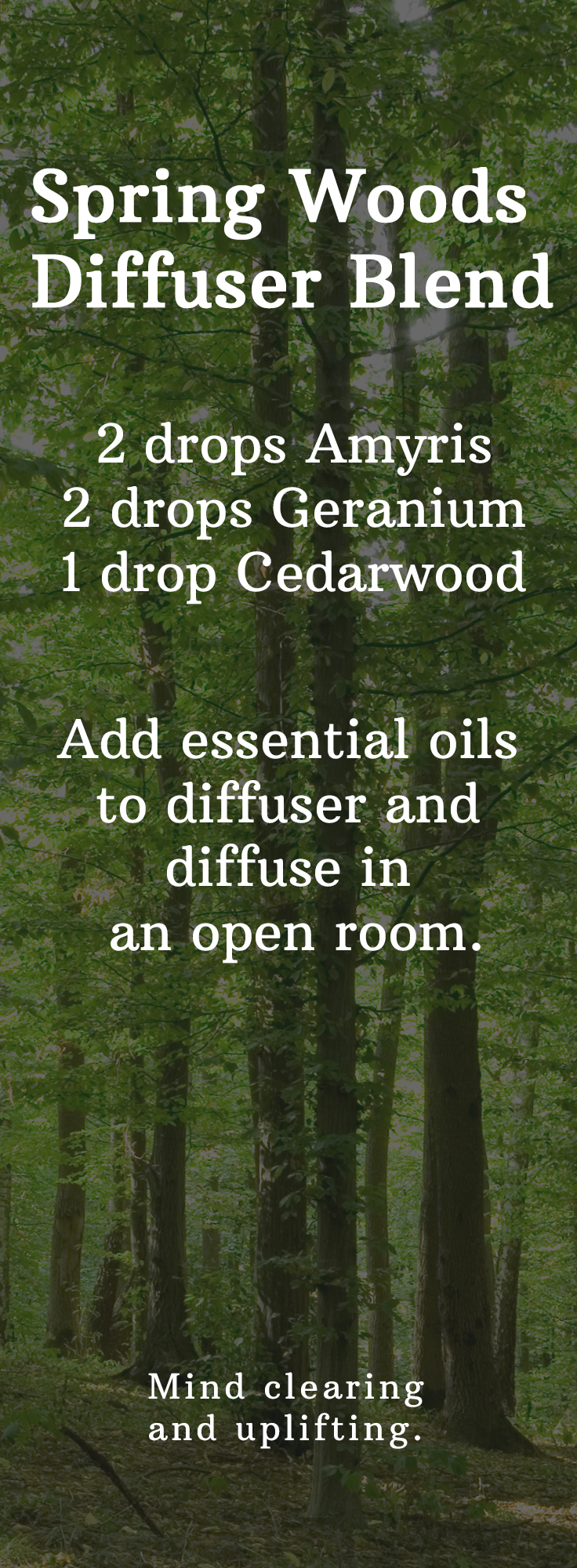 Spring Woods Diffuser Blend Recipe - Simply Earth Blog