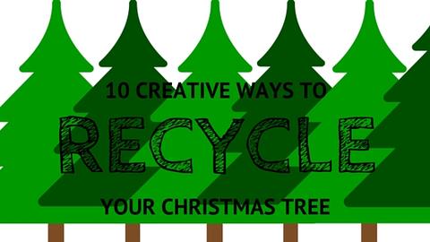 christmas tree recycling
