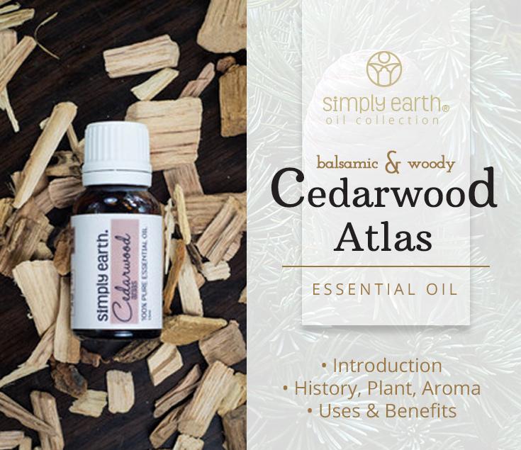 Cedarwood Essential Oil (Atlas) Uses & Benefits Simply Earth Blog