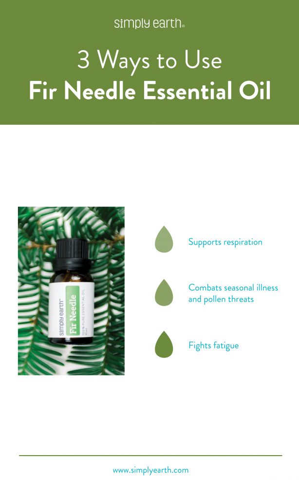 Fir Needle Essential Oil Benefits, Uses, and Recipes Simply Earth Blog