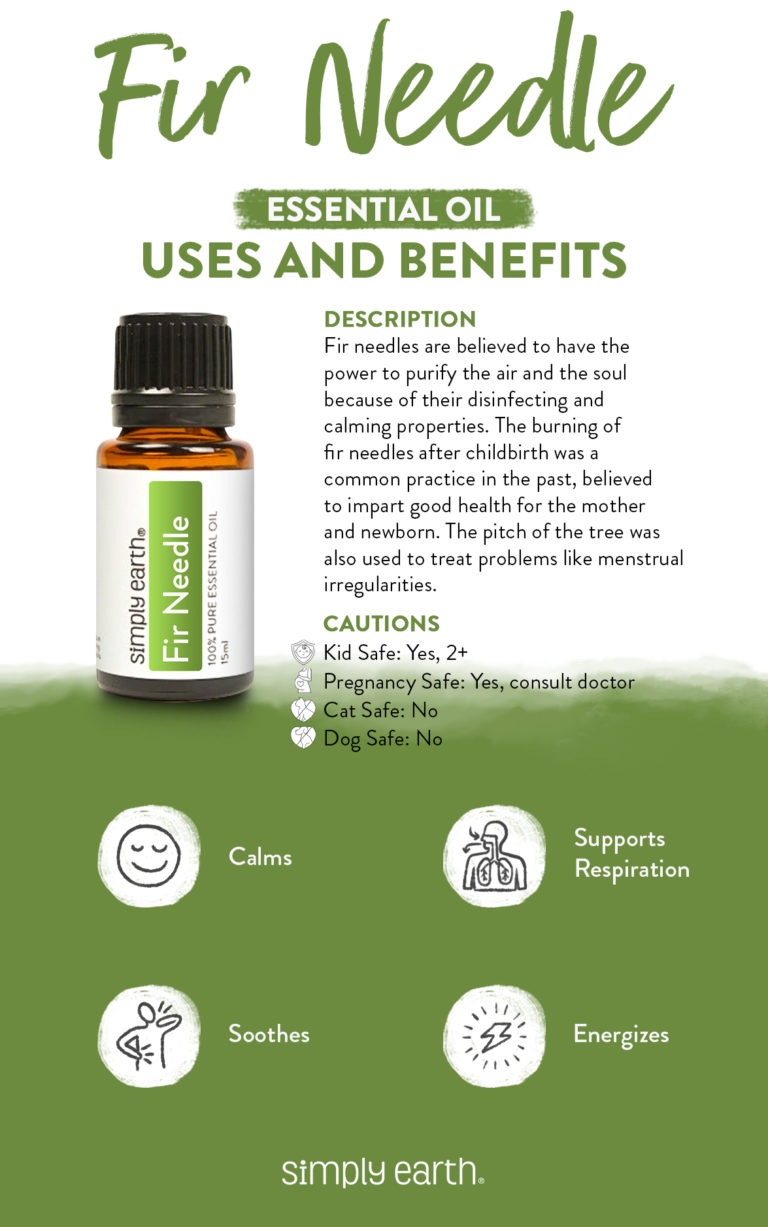 All About Fir Needle Essential Oil Simply Earth Blog