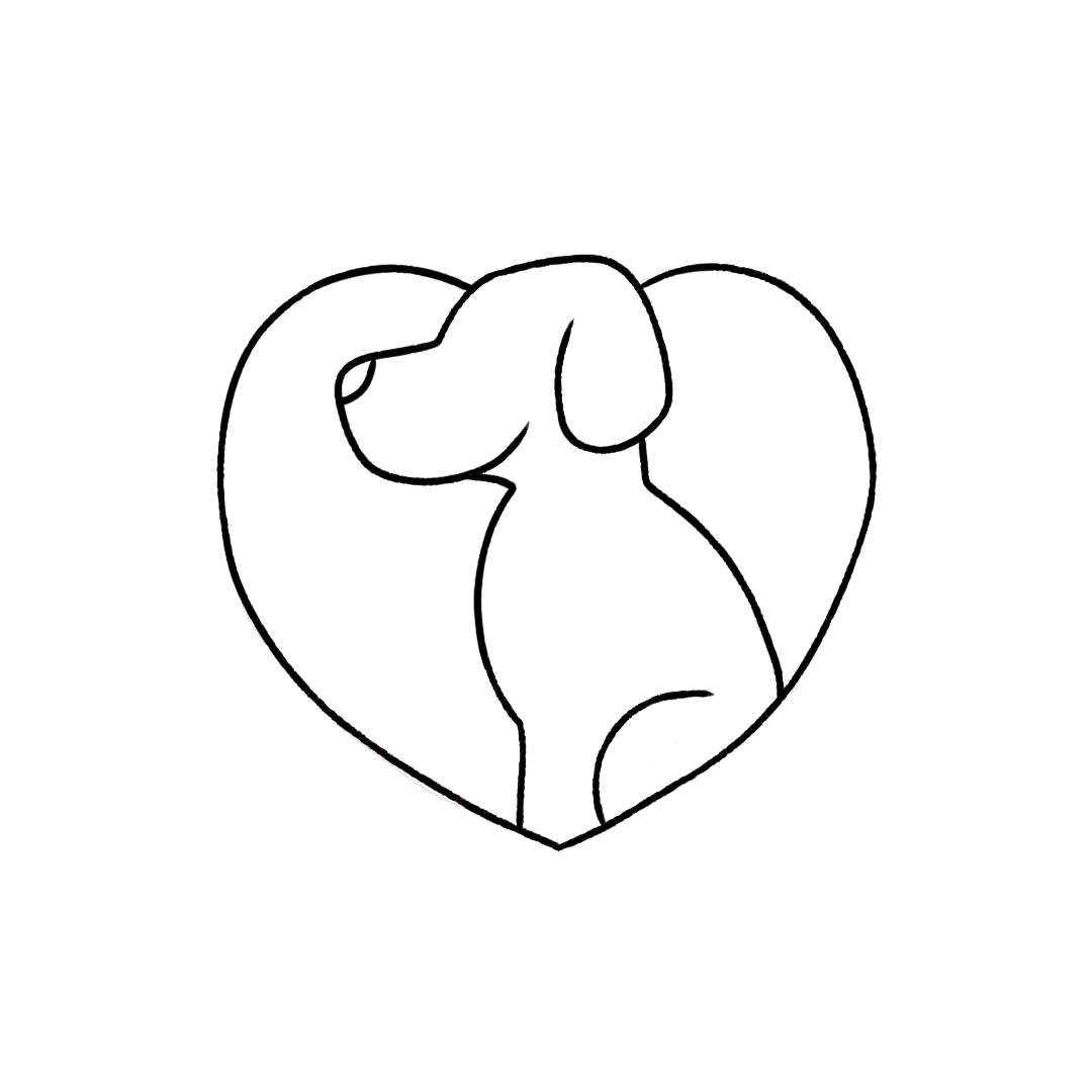 6 Benefits of Grapefruit Essential Oil