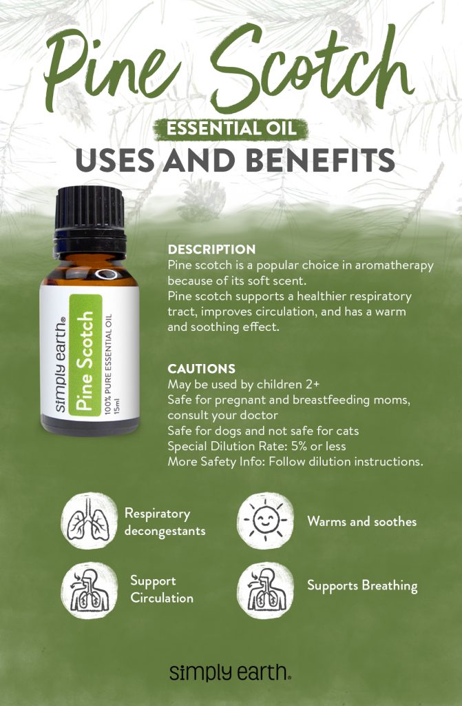 5 Pine Scotch Essential Oil Benefits You're Missing Simply Earth Blog
