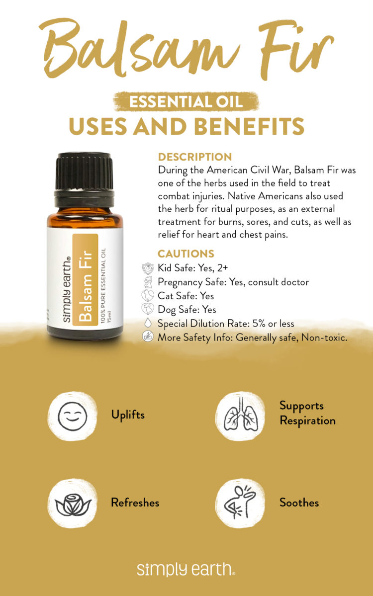 Balsam Fir Essential Oil Benefits, Uses, and Recipes Simply Earth Blog