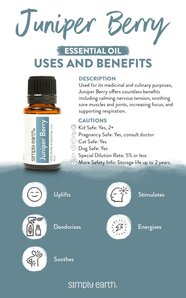 6 Amazing Juniper Berry Essential Oil Benefits Simply Earth Blog