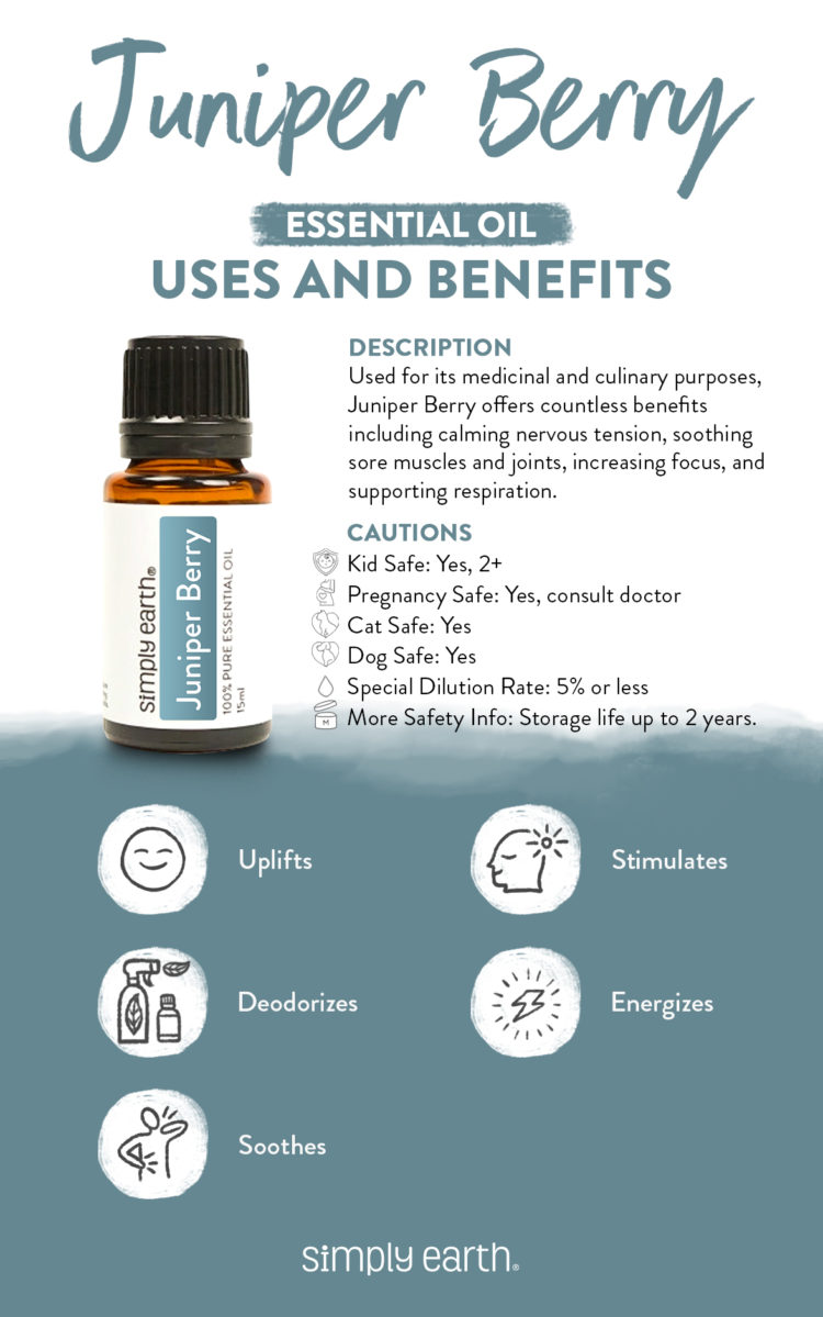 6 Amazing Juniper Berry Essential Oil Benefits - Simply Earth Blog