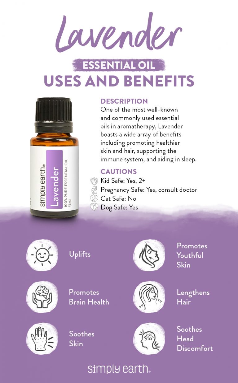 Lavender 40/42 Essential Oil: All You Need to Know - Simply Earth Blog