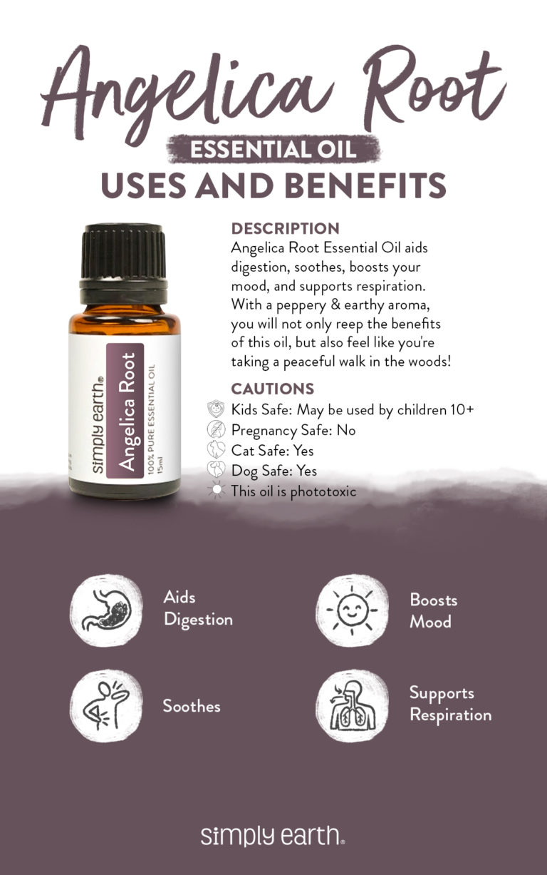 Angelica Root Essential Oil Uses & Benefits Simply Earth Blog