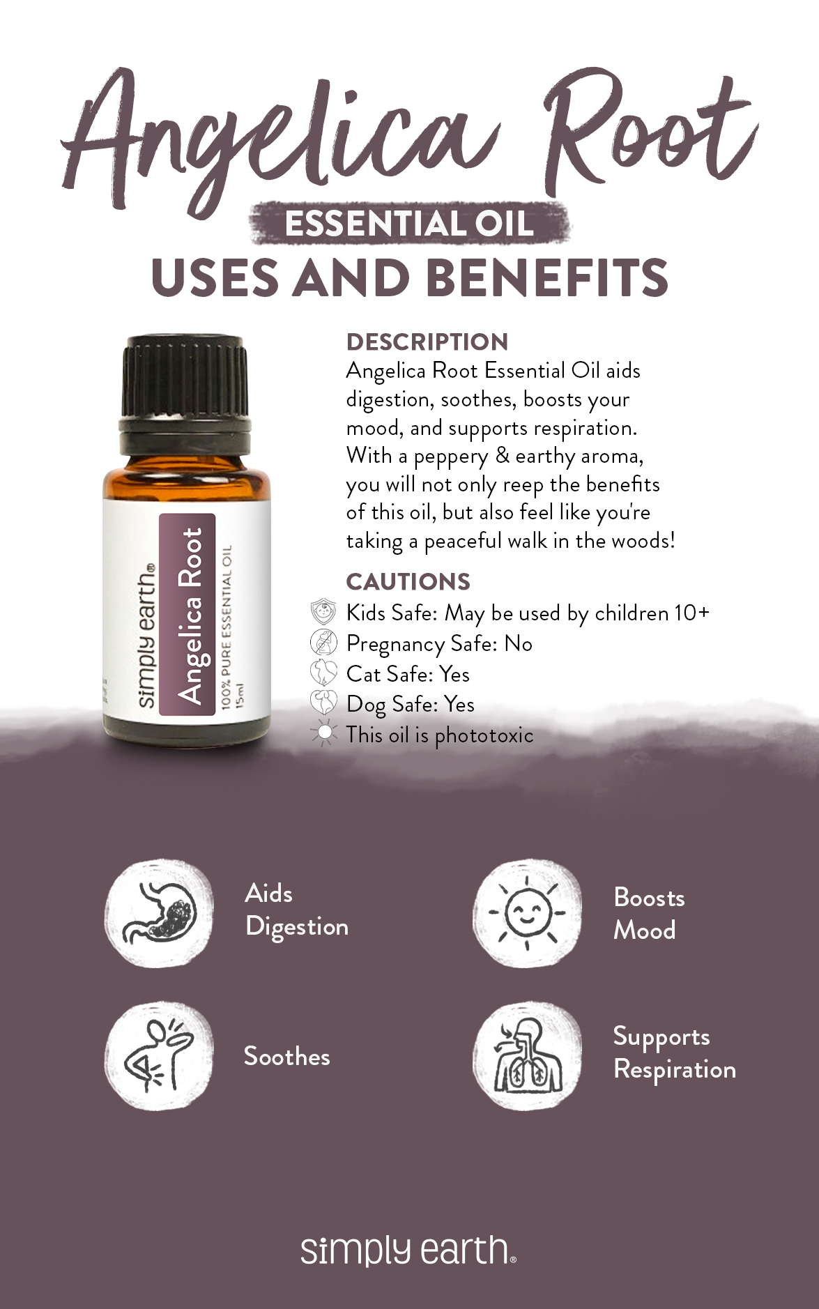 Angelica Root Essential Oil Uses & Benefits Simply Earth Blog