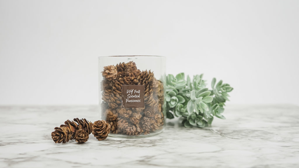 HOW TO MAKE SCENTED PINECONES  Scented pinecones, Pine cones, Diy