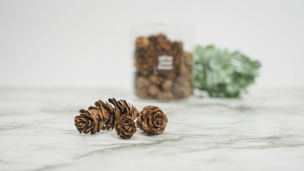scented pine cones