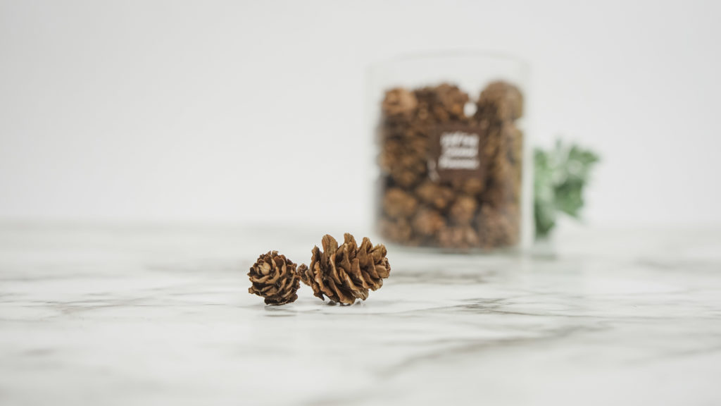 How to make scented pinecones #falldecor #falldecorideas #falldecordiy