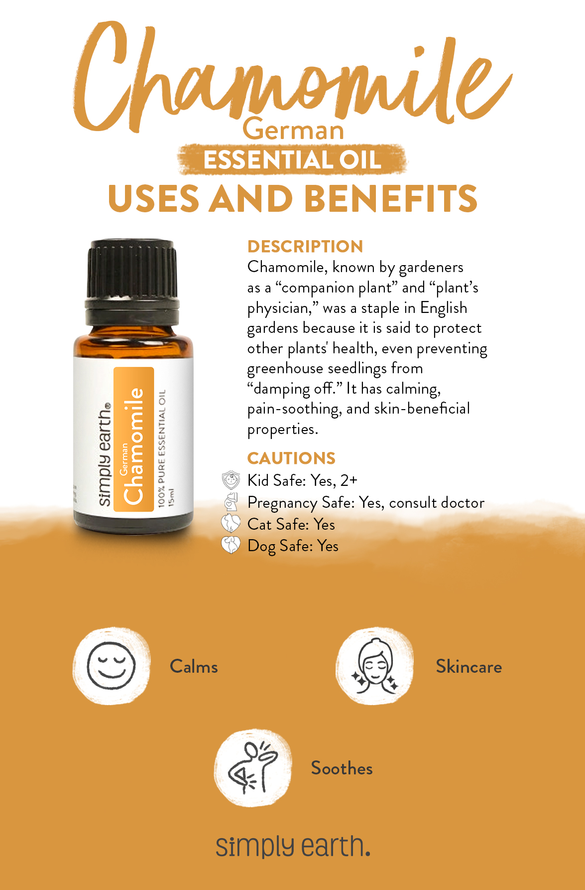 Know More About German Chamomile Essential Oil - Simply Earth Blog