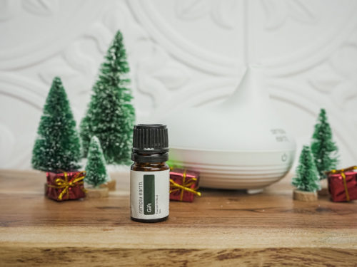 Essential Oil Diffuser Blend (3 Seasonal Scents) – Slow North