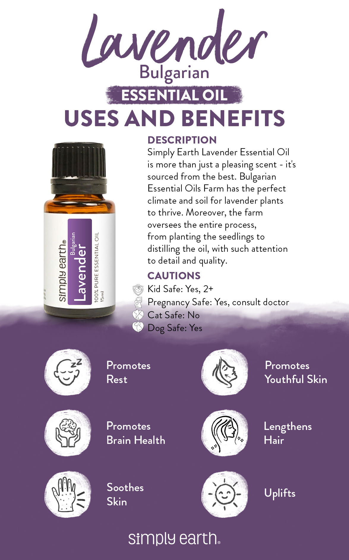 Uses and Benefits of Lavender Essential Oil - Simply Earth Blog