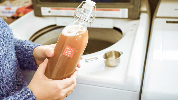 Soap Nut Homemade Liquid Laundry Detergent Recipe - Simply Earth Blog