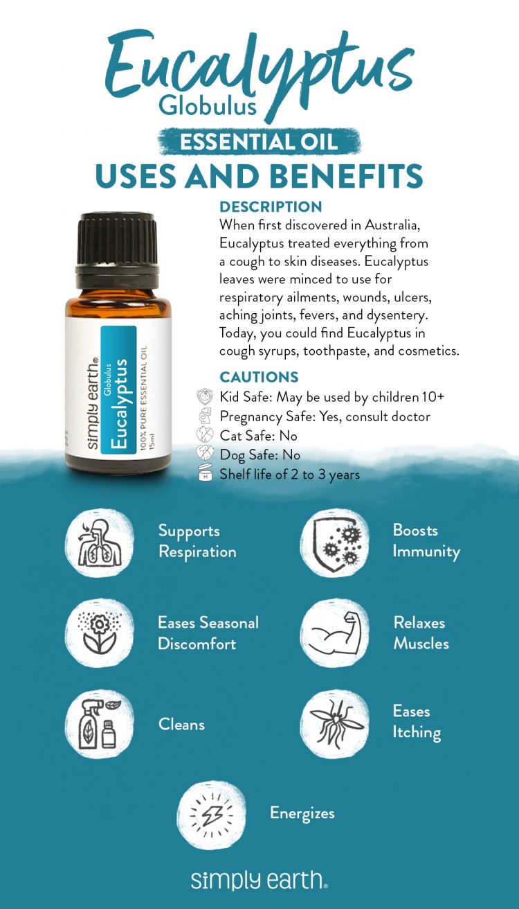 Eucalyptus (Globulus) Essential Oil Uses