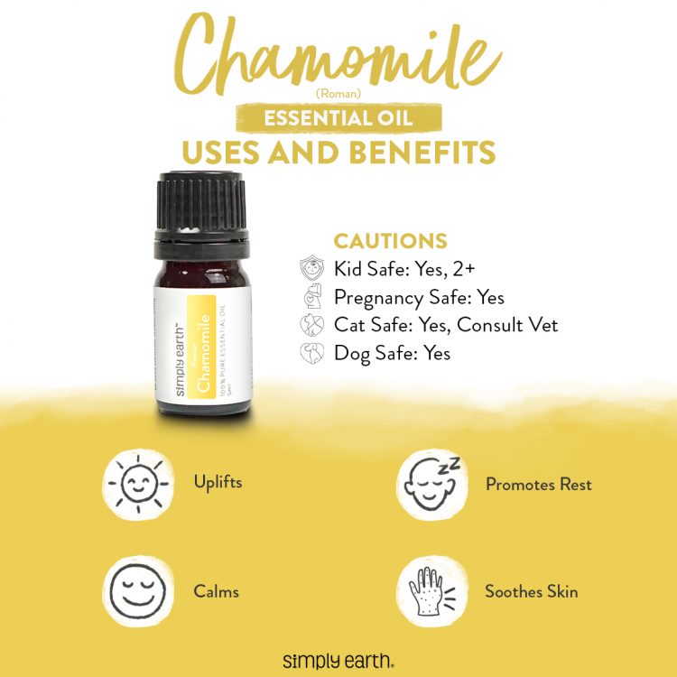 Roman Chamomile Essential Oil Benefits & Uses Simply Earth Blog