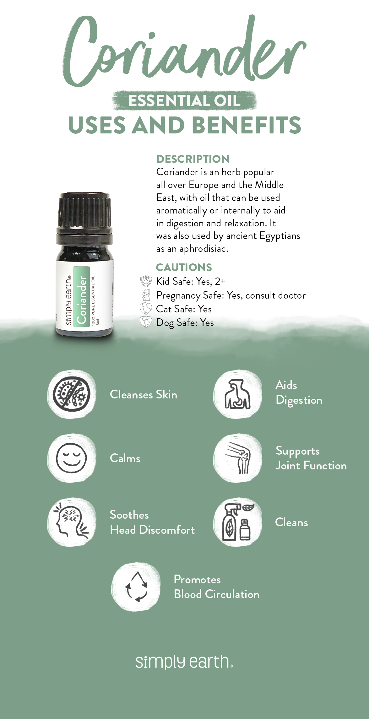 Coriander Essential Oil Uses, Benefits, & Recipes Simply Earth Blog