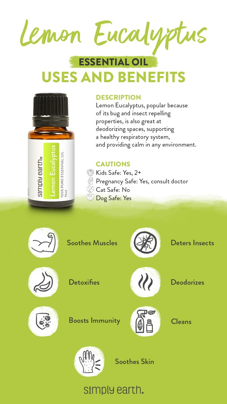 All About Lemon Eucalyptus Essential Oil - Simply Earth Blog