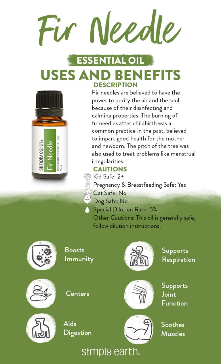 Fir Needle Essential Oil Benefits, Uses, and Recipes - Simply Earth Blog